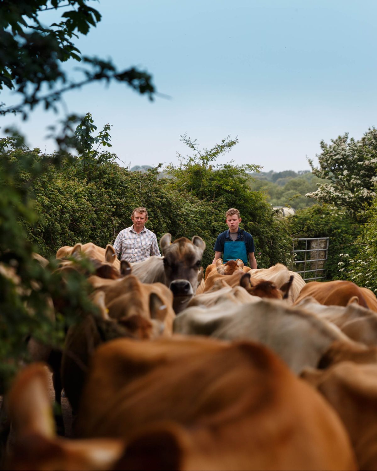 Agriculteurs accompagnés