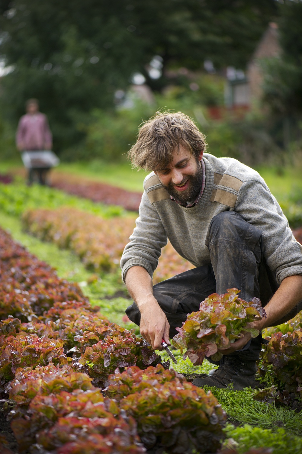 Conseillers agricoles en discussion sur le terrain